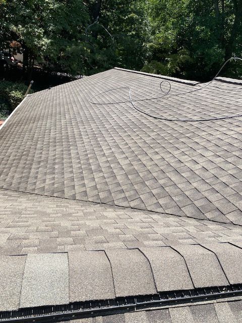 Gray shingle roof with a curved line and a dark gutter in front; trees in the background.