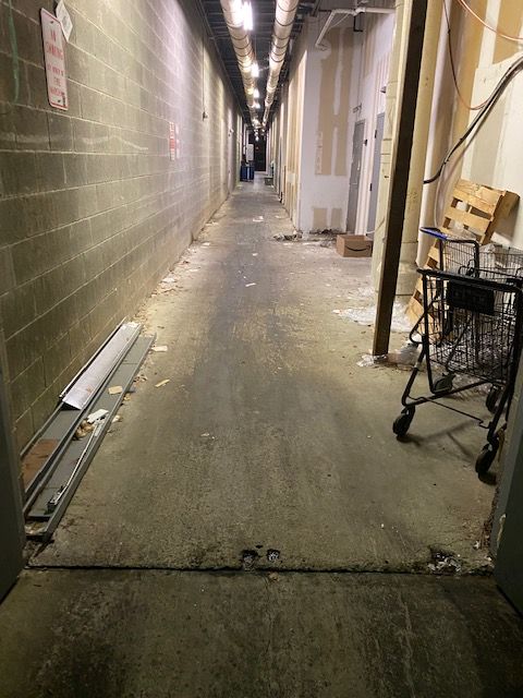 Long, dimly lit hallway with exposed brick wall on the left, drywall and debris along the right, a shopping cart, and fluorescent lights overhead.