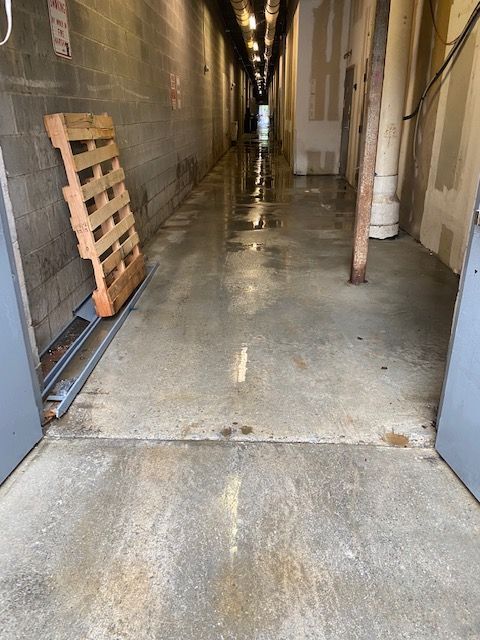 A long, wet concrete hallway. A wooden pallet leans against a cinder block wall.