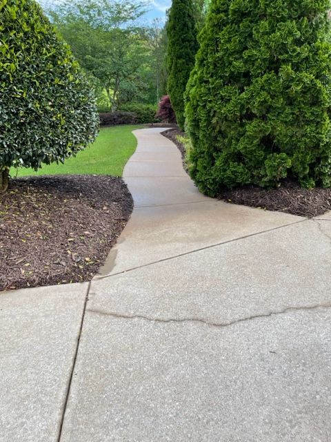 A concrete walkway curves through a landscaped garden, bordered by green hedges and mulch beds.