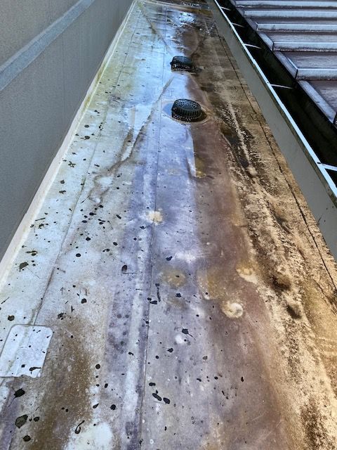 Dirty, wet rain gutter with debris and two rocks inside. The gutter is on a building next to a roof.