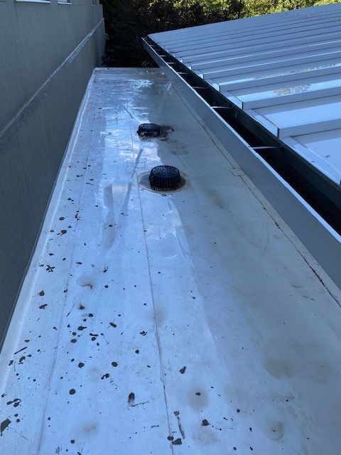 A close-up view of a gutter with debris. Two black dome-shaped objects are visible within the gutter.