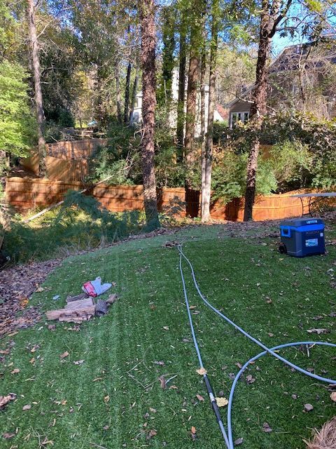 A backyard with green turf, trees, and a brown fence. A blue generator sits on the right.