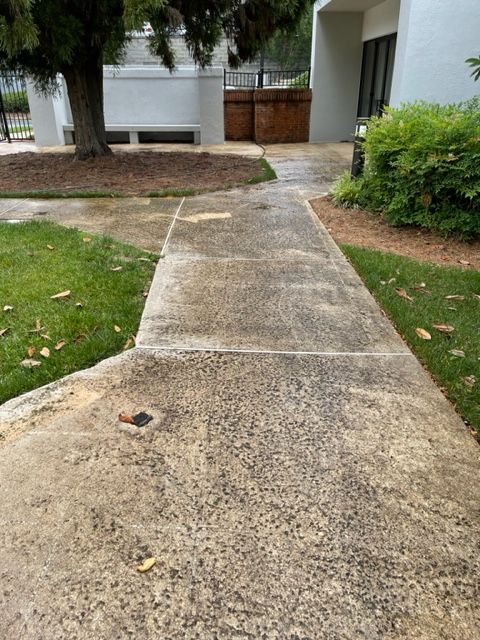 A concrete pathway leads through a grassy area, toward a building. The pathway is wet, with patches of dirt and imperfections.