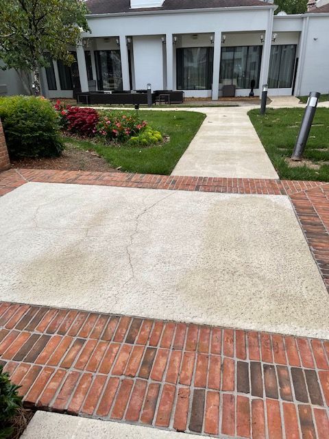 A paved patio with brick border and cracks, leading to a white building with glass doors. Landscaped garden with flowers and grass.