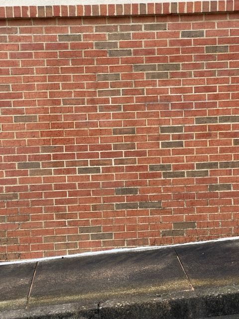 Red brick wall with some darker bricks, above a gray concrete ledge.