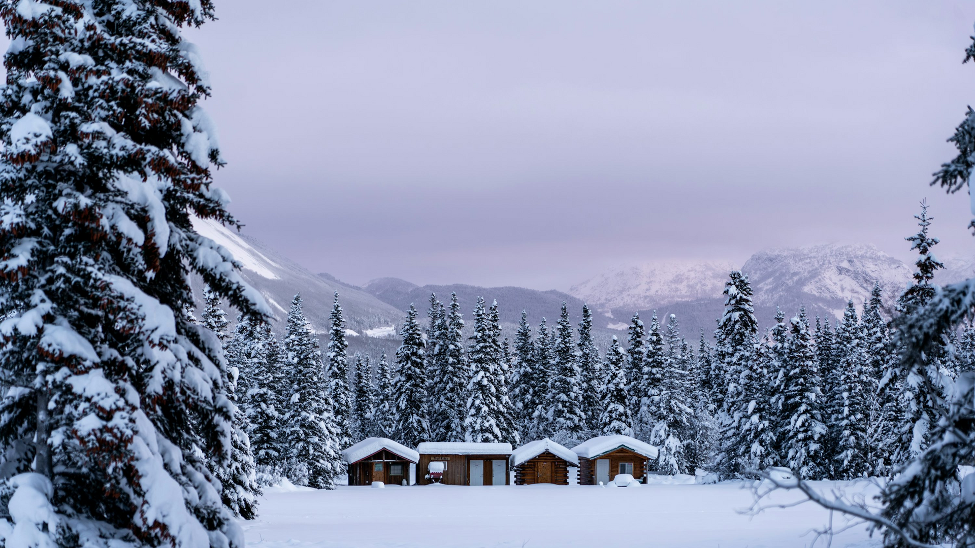 Log cabin covered in snow surrounded by tall pine trees in a quiet winter landscape
