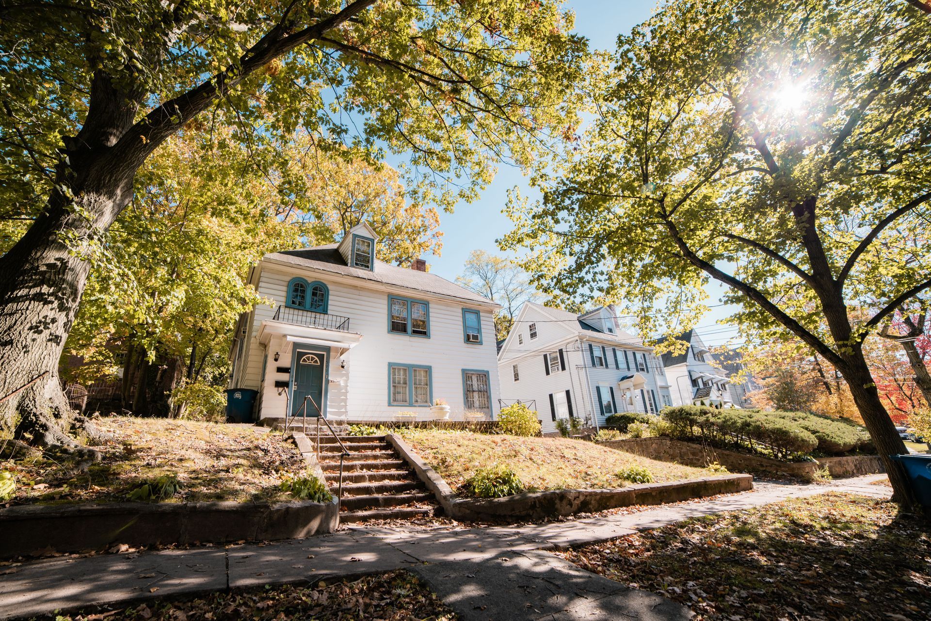Two white houses sit behind a lawn and a sidewalk, framed by large, leafy trees under a bright, sunny sky.