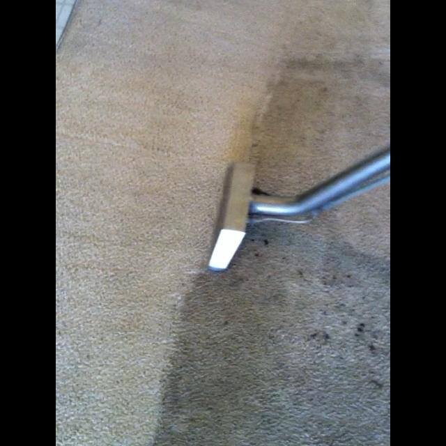 Carpet Cleaning Bay City, MI Area's Best Inc