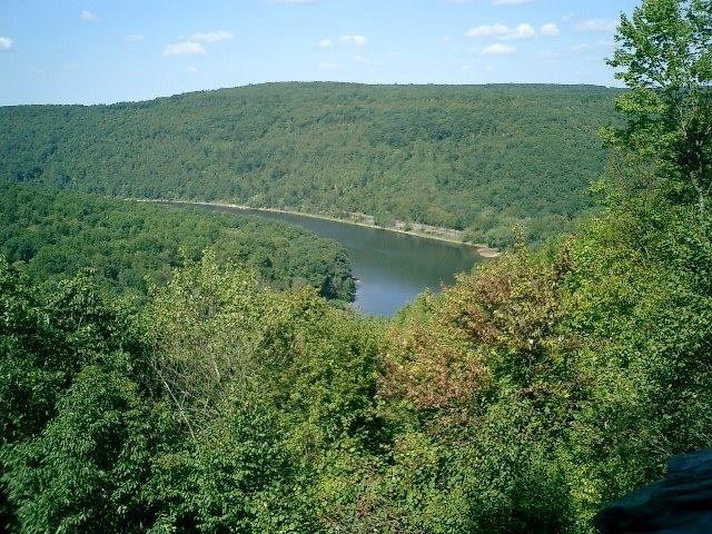 A view of a lake surrounded by trees on a hillside