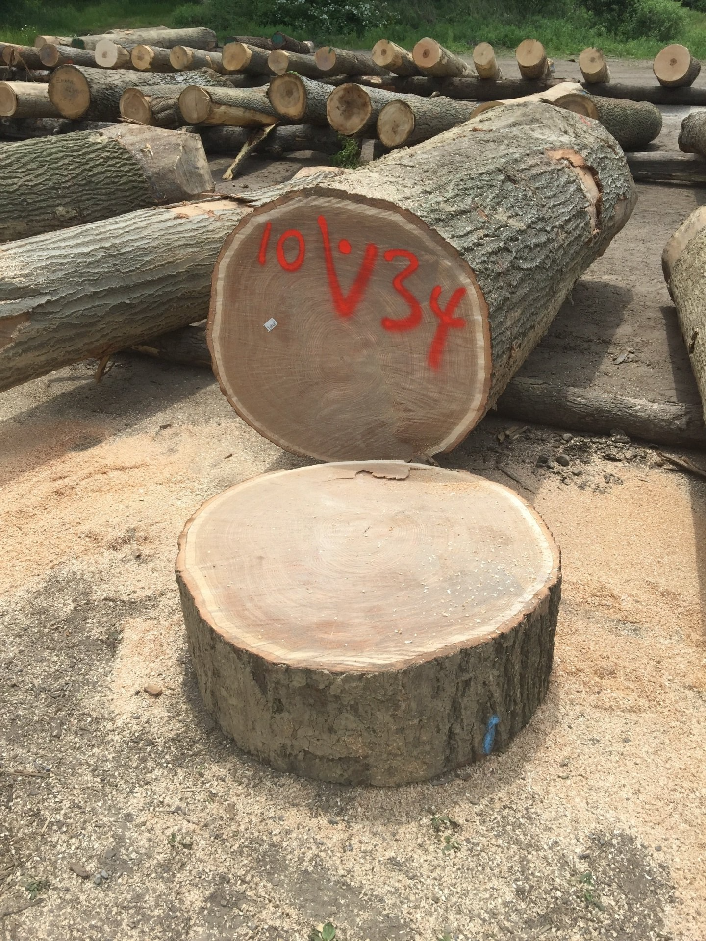 A large log is sitting on top of a pile of logs.