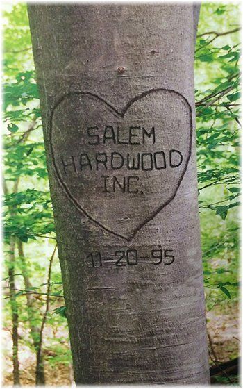 A tree with a heart carved into it that says salem hardwood inc.
