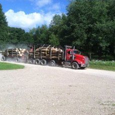 A red truck is driving down a gravel road with a trailer full of logs.