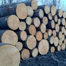 A pile of logs stacked on top of each other.