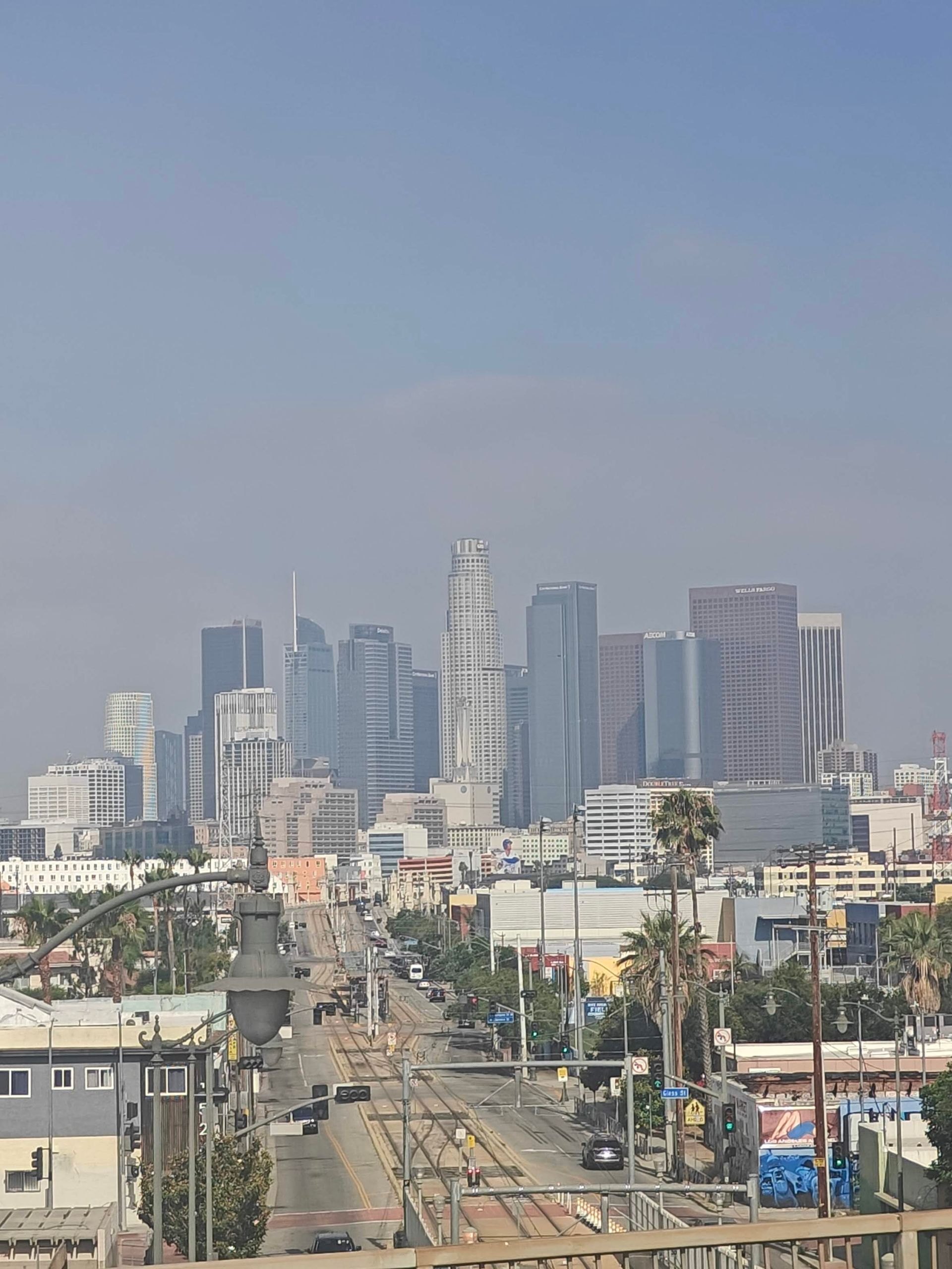 Byens skyline med høje bygninger, palmer og en diset himmel.