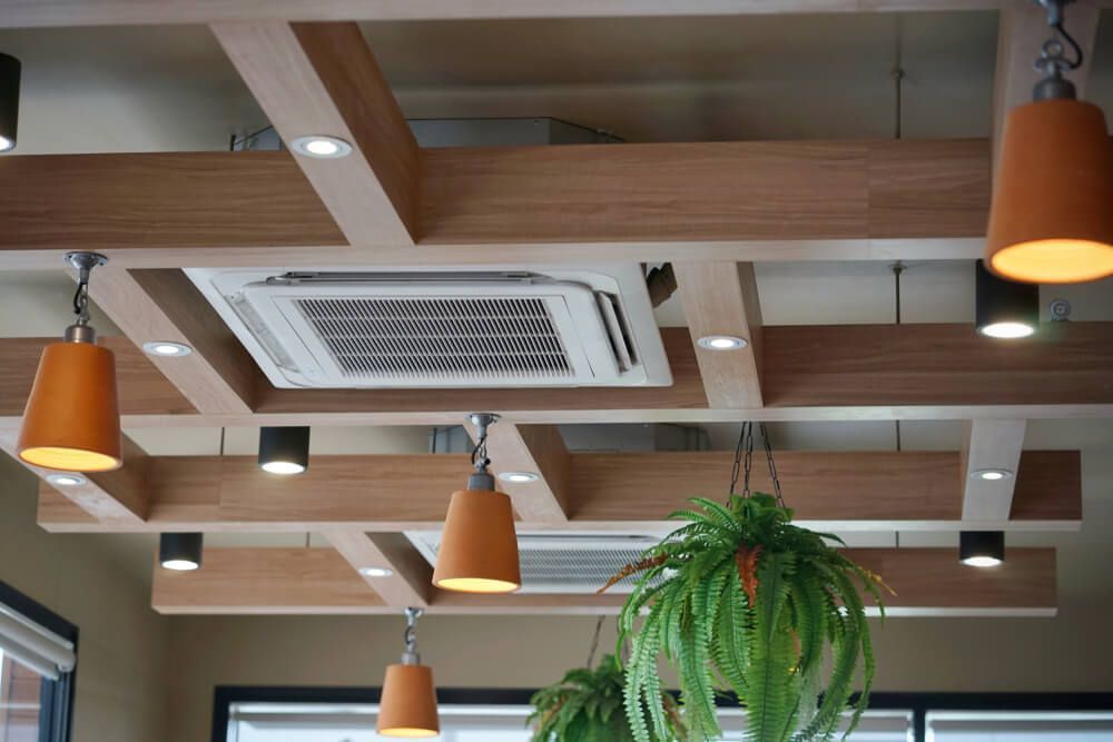 A Ceiling With a Lot of Lights and Plants Hanging From It — DMC Electrical & Air Cooling Pty Ltd in Townsville City, QLD