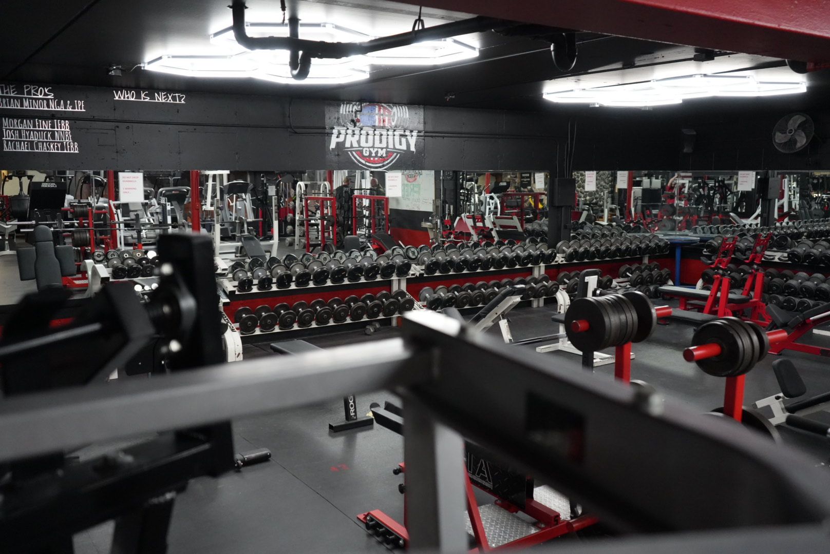 A gym filled with lots of dumbbells and exercise equipment.