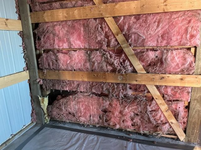 Pink insulation exposed in a wooden wall frame, with siding on the left and a plastic sheet on the floor.