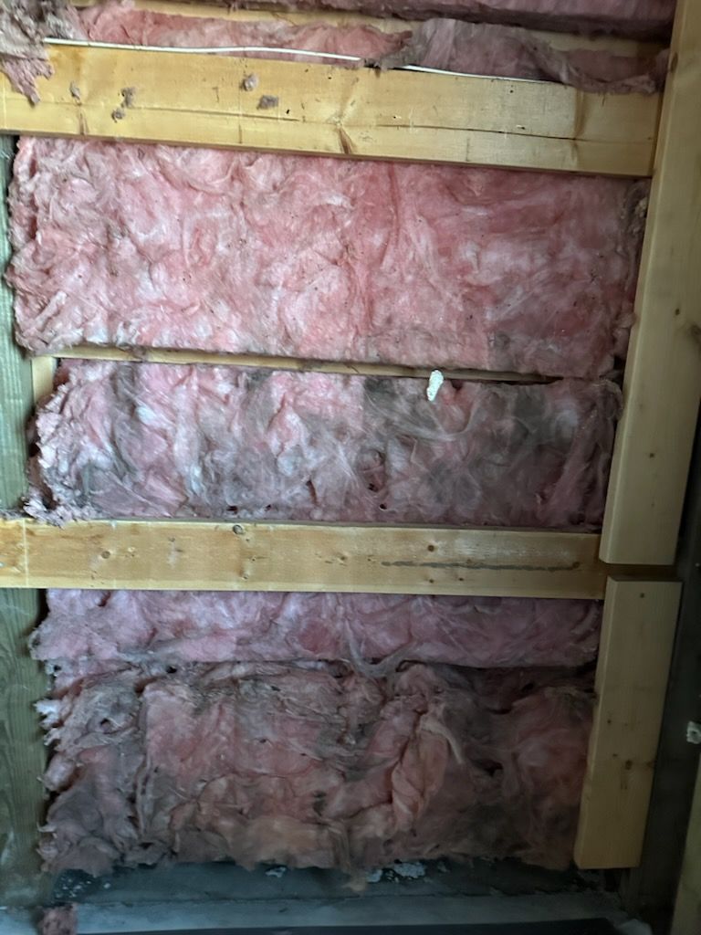 Pink fiberglass insulation in a wooden-framed wall, with some dark staining and discoloration present.