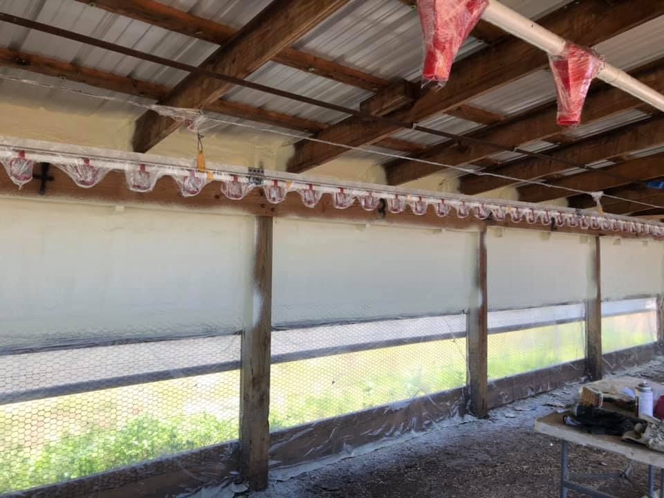 Interior of a chicken coop with roll-down curtains and feeding system.