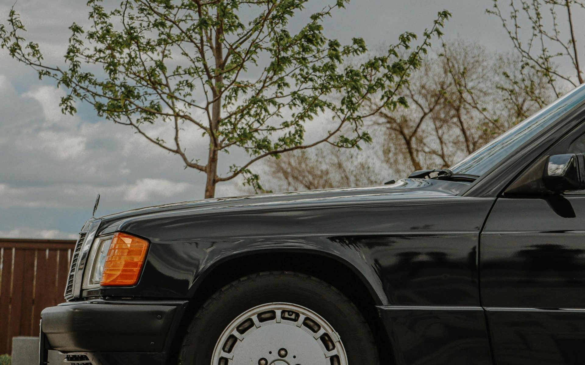Black Mercedes-Benz sedan parked near a tree, orange turn signal, white and silver wheel.