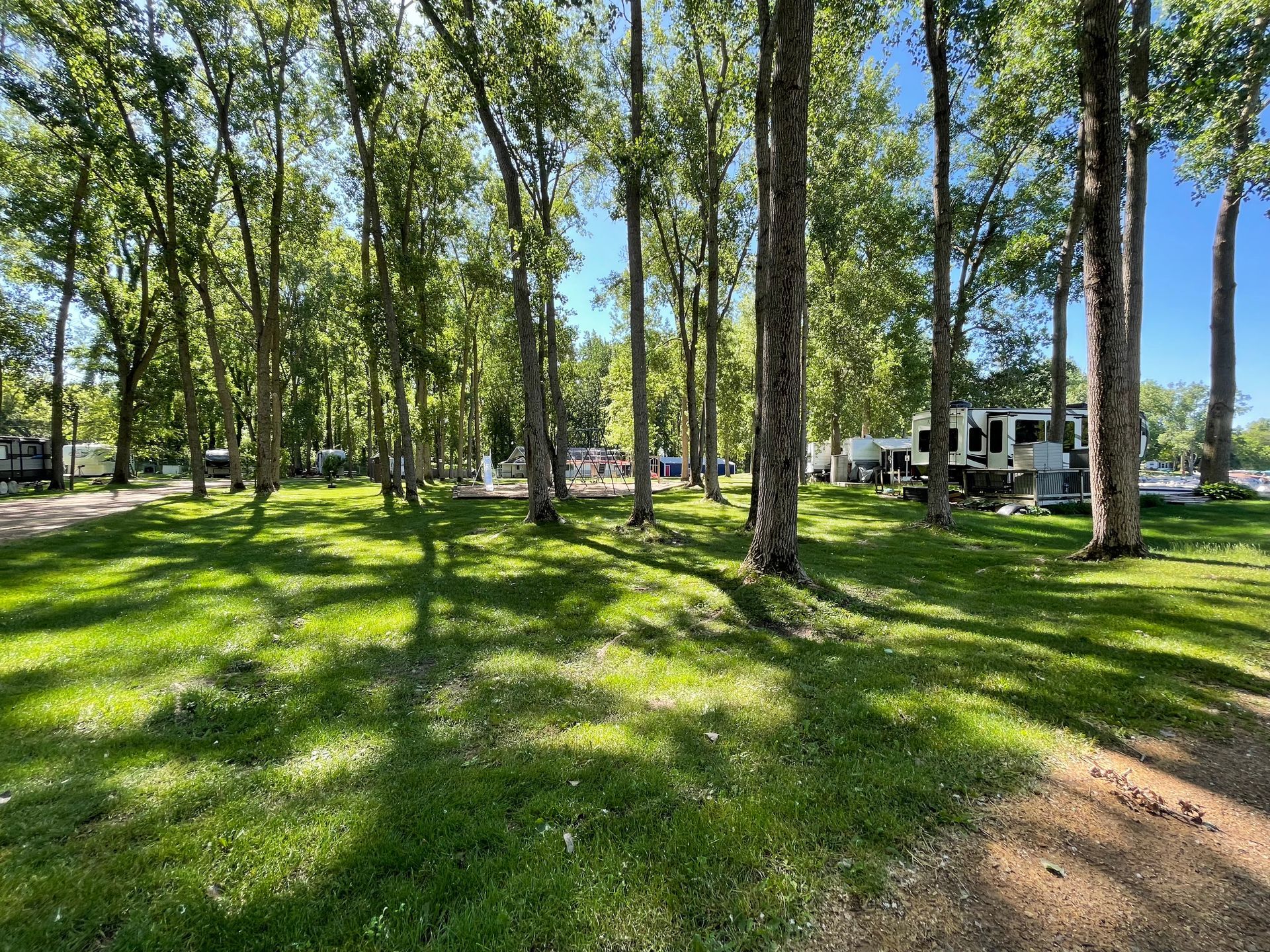 There are a lot of trees in the background and a lot of grass in the foreground.