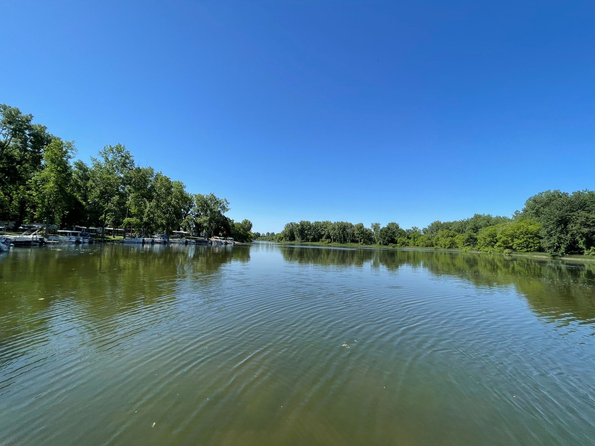 A large body of water surrounded by trees on a sunny day
