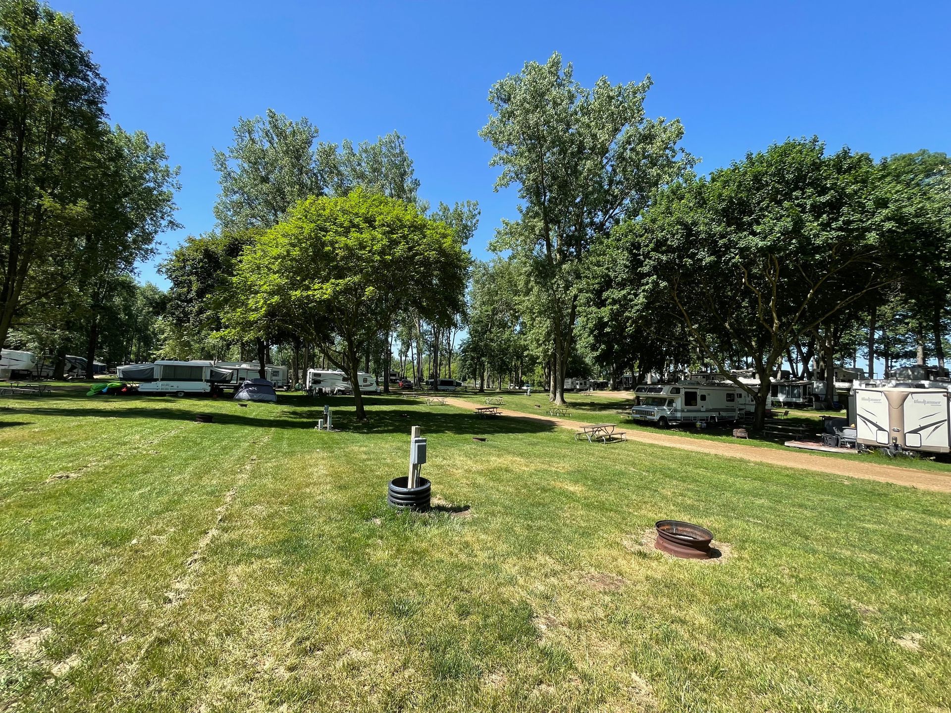 A park with a lot of trees and rvs parked in the grass.