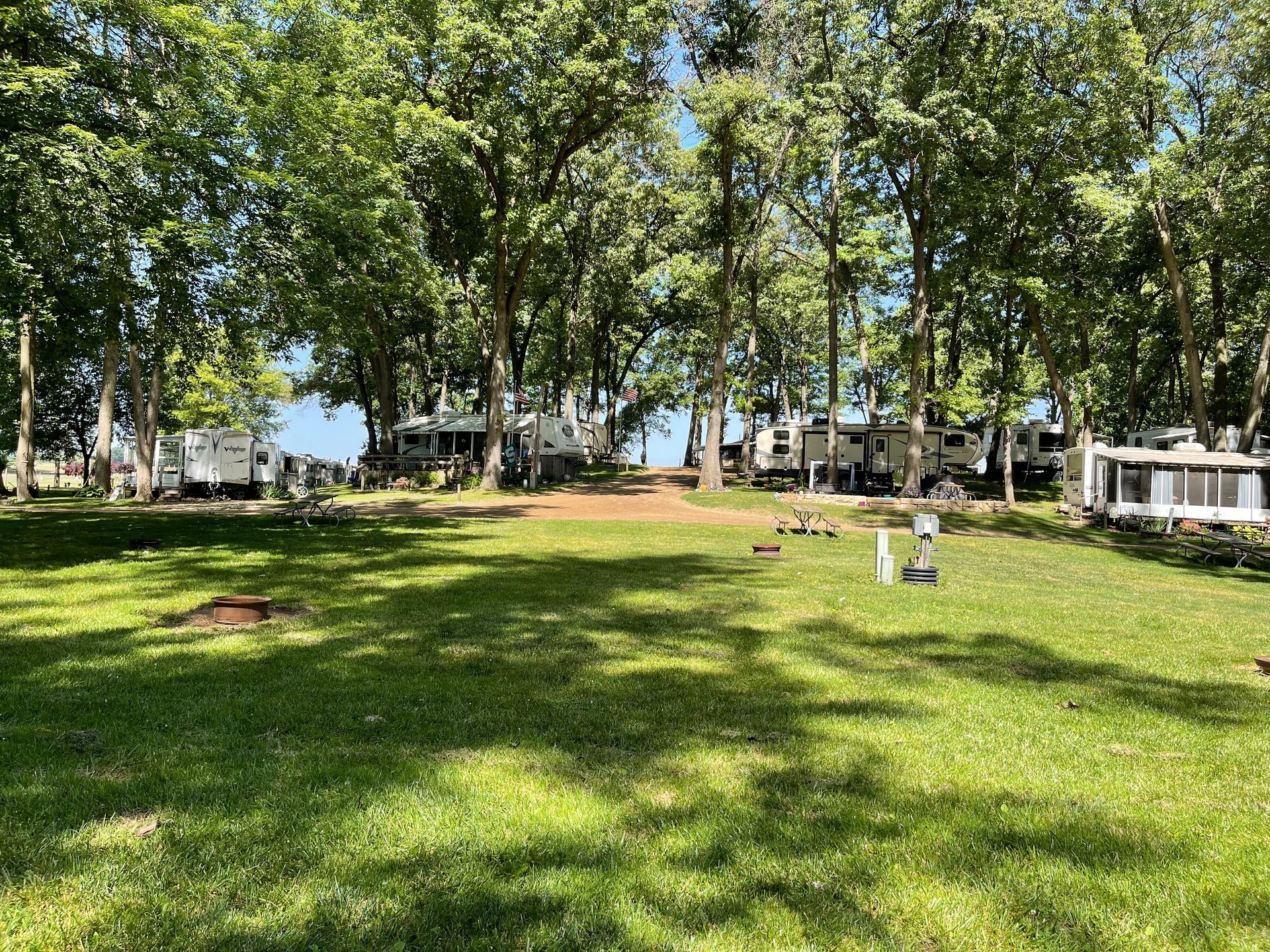A large grassy field with a lot of trees and rvs in the background.