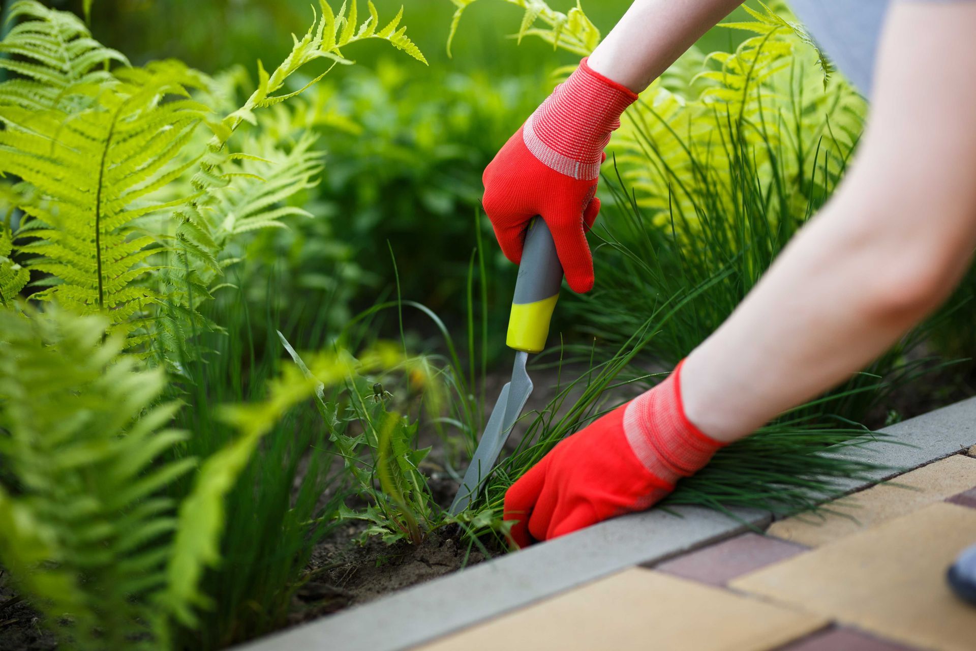a person wearing red gloves is working in a garden taking weeds