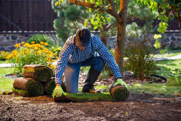 a man in a plaid shirt is kneeling down to roll up a lawn