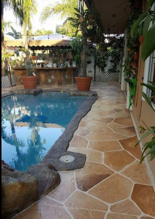 A swimming pool surrounded by potted plants and a stone walkway