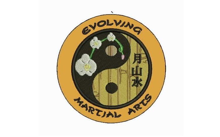 Evolving Martial Arts