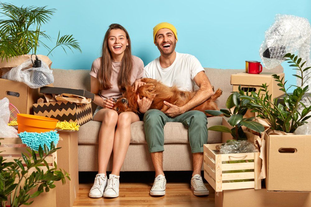 Woman And Man Play With Their Favourite Dog — Removalists in Mt. Sheridan, QLD