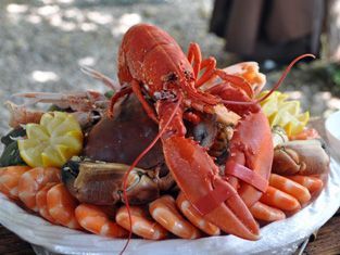 Lobster - Shrimp - fish