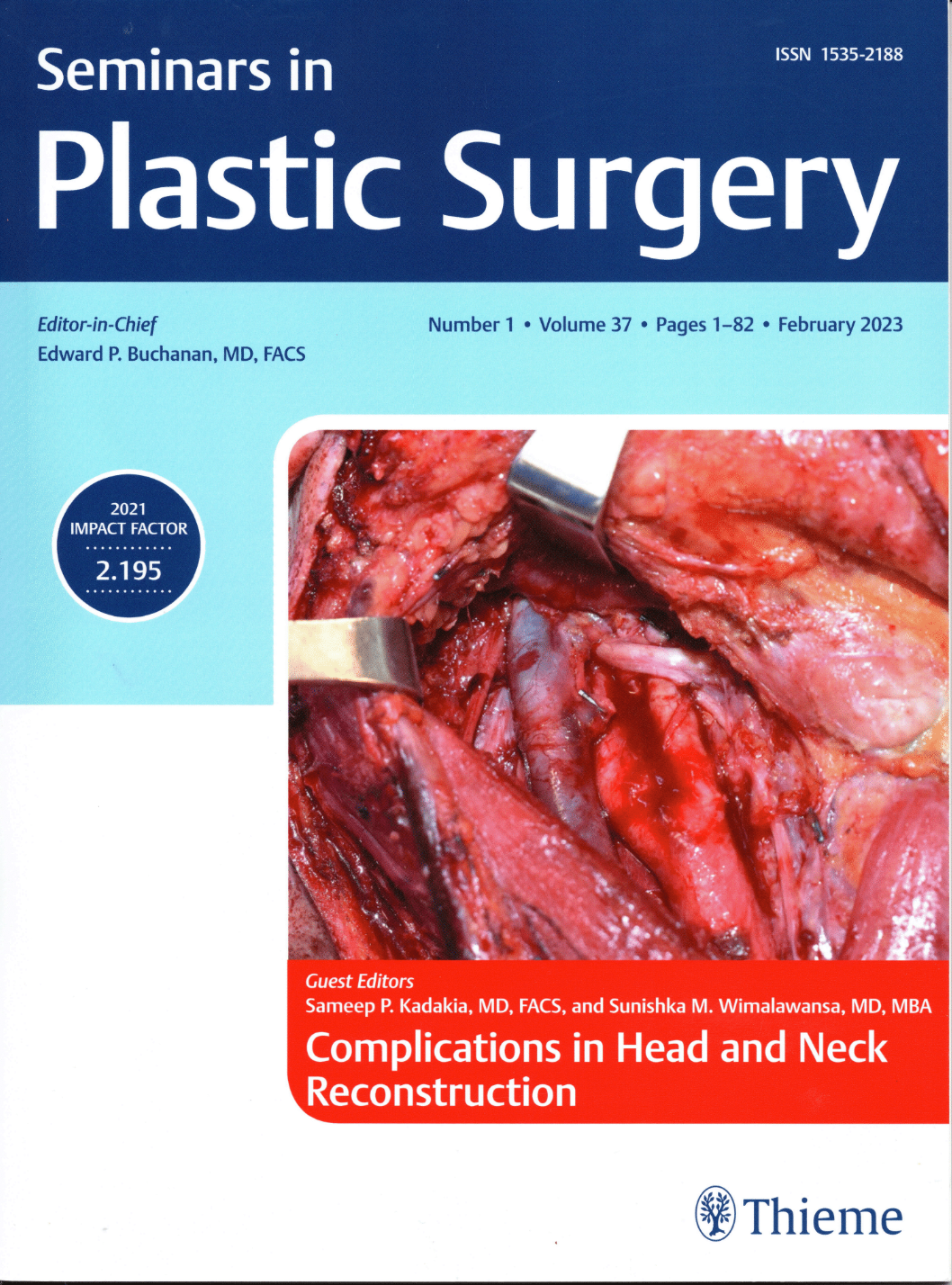 cover of book - Seminars in Plastic Surgery