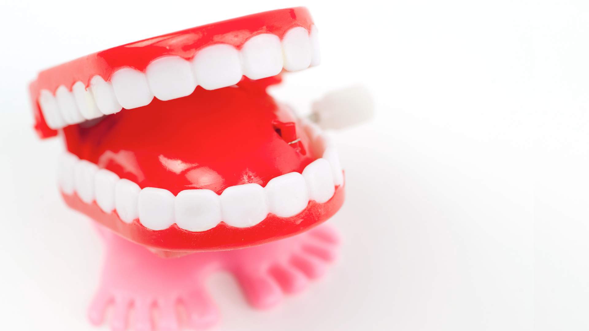 A close up of a toy teeth on a white background.