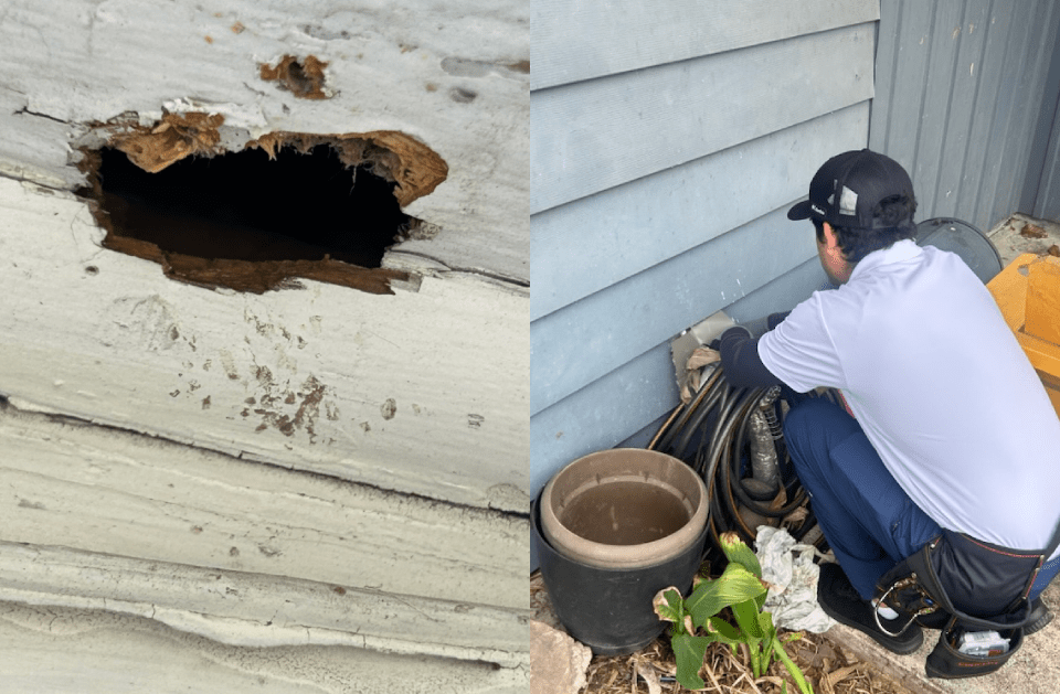 A damaged wooden exterior with a hole, and a person inspecting siding with equipment.