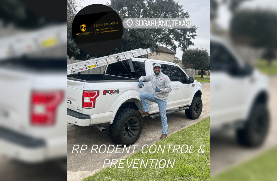 Man standing near white pickup truck, ladder in bed, Sugar Land, TX location, 