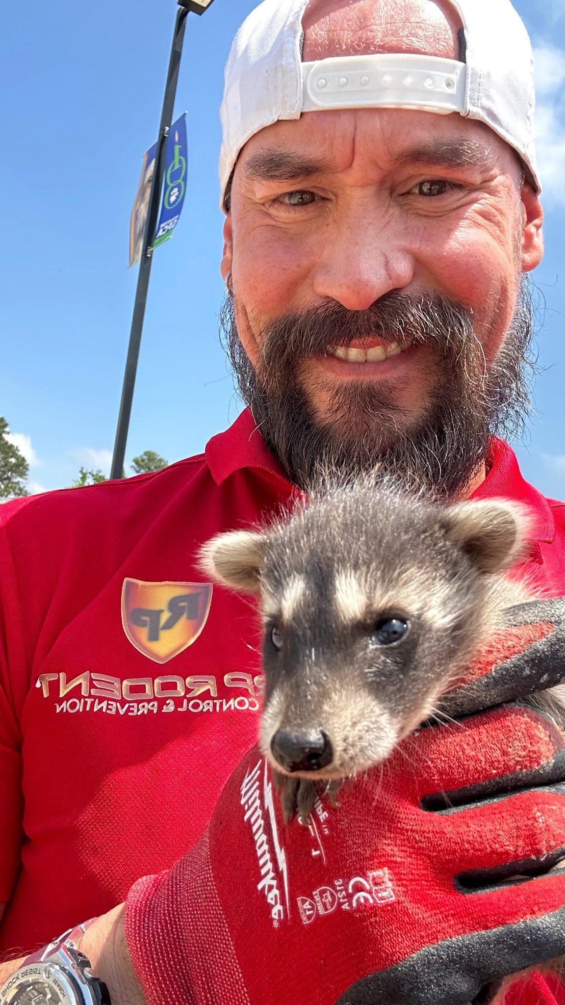 Man in red shirt holding a baby raccoon; both looking at the camera.