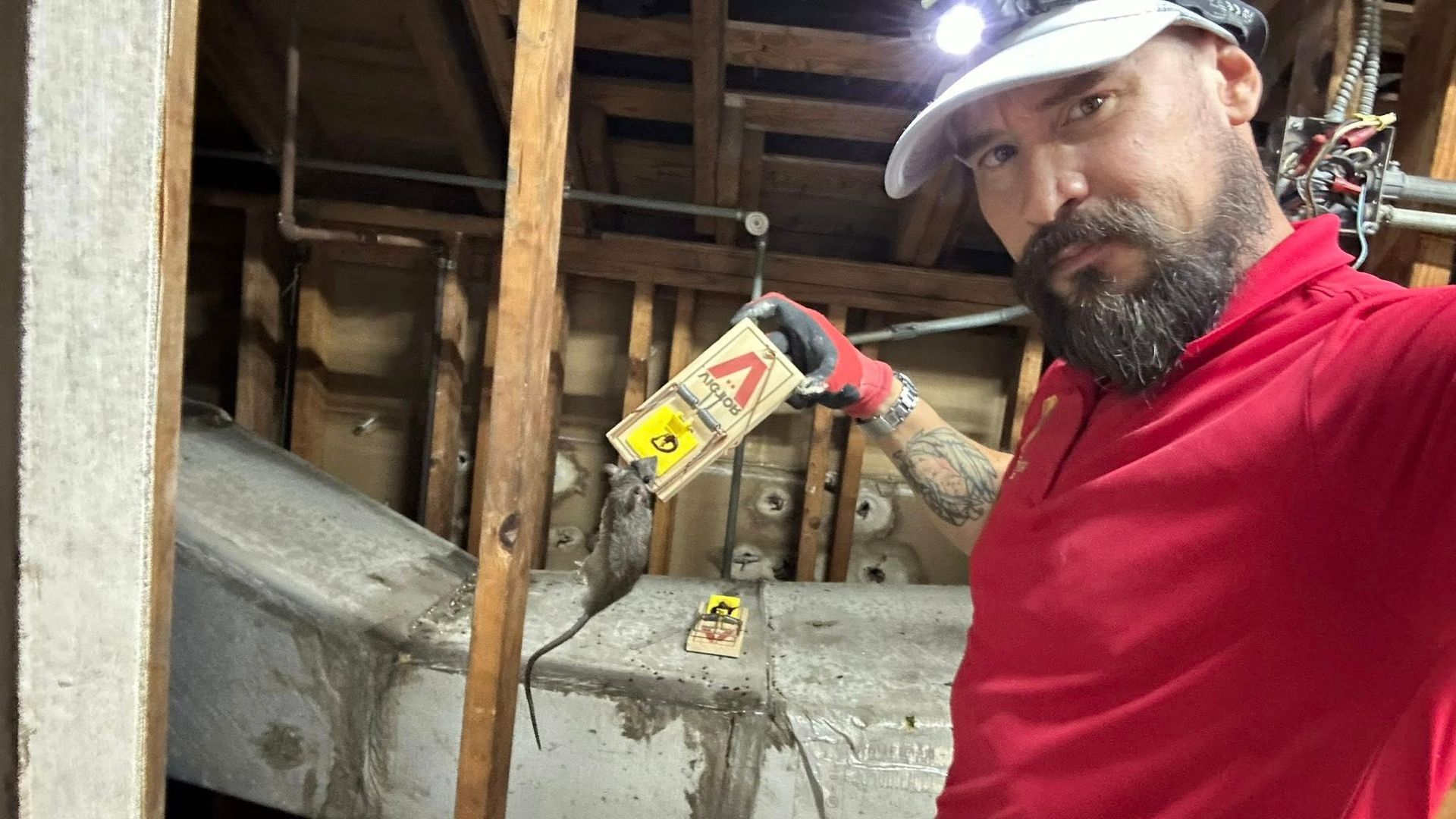 Man in red shirt holding a mouse trap in a dimly lit, unfinished space.