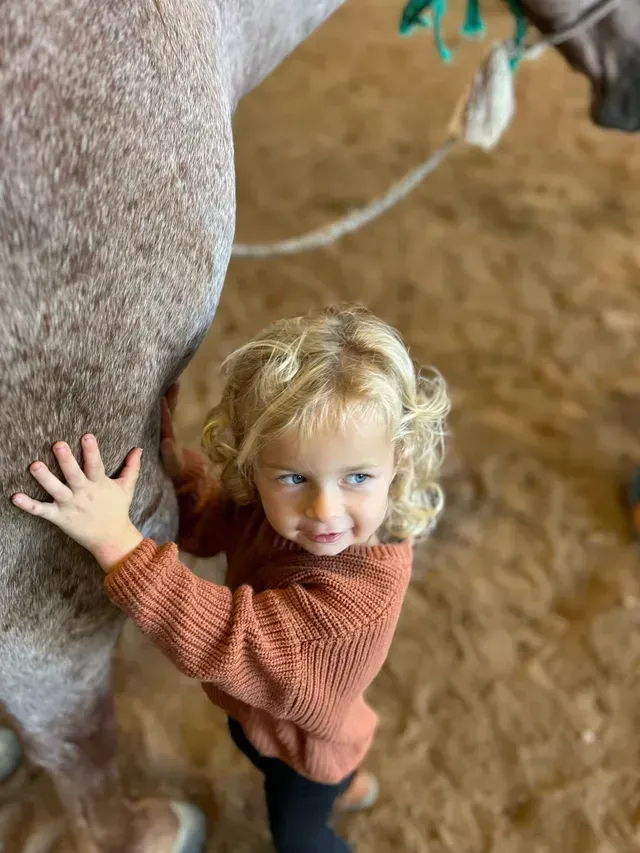 A curly-haired child in an orange sweater stands in a sandy arena, gently touching the side of a grey horse.