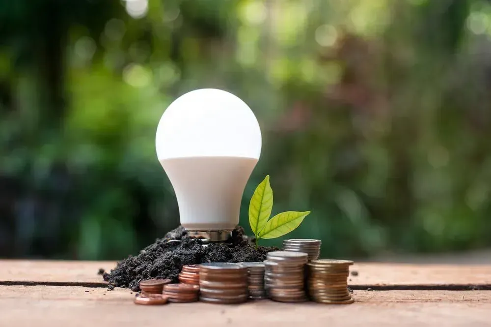 A Light Bulb Is Growing Out Of A Pile Of Coins On A Wooden Table — Rapidcool Air Conditioning & Electrical In Dapto, NSW