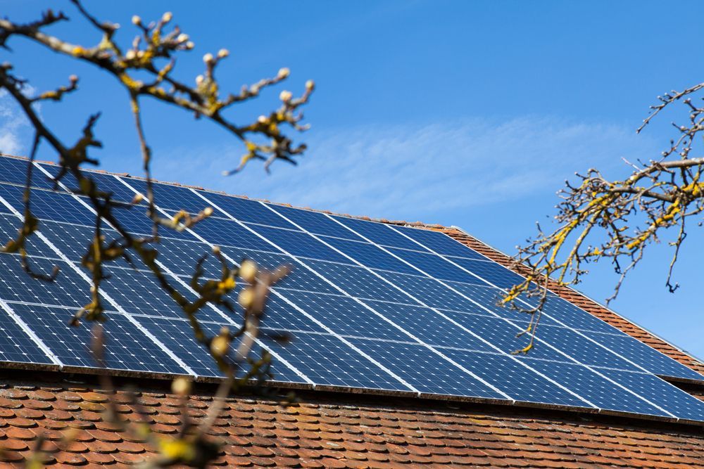 A Roof With Solar Panels On It And A Tree In The Foreground — Rapidcool Air Conditioning & Electrical In Fairy Meadow, NSW
