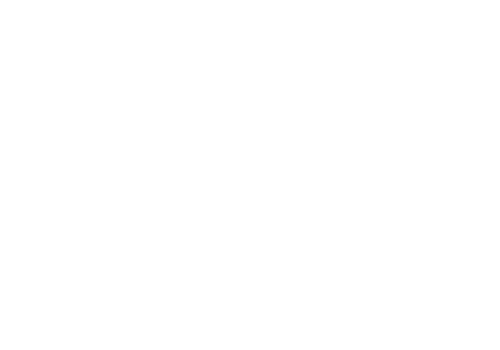 Lucas MMA logo