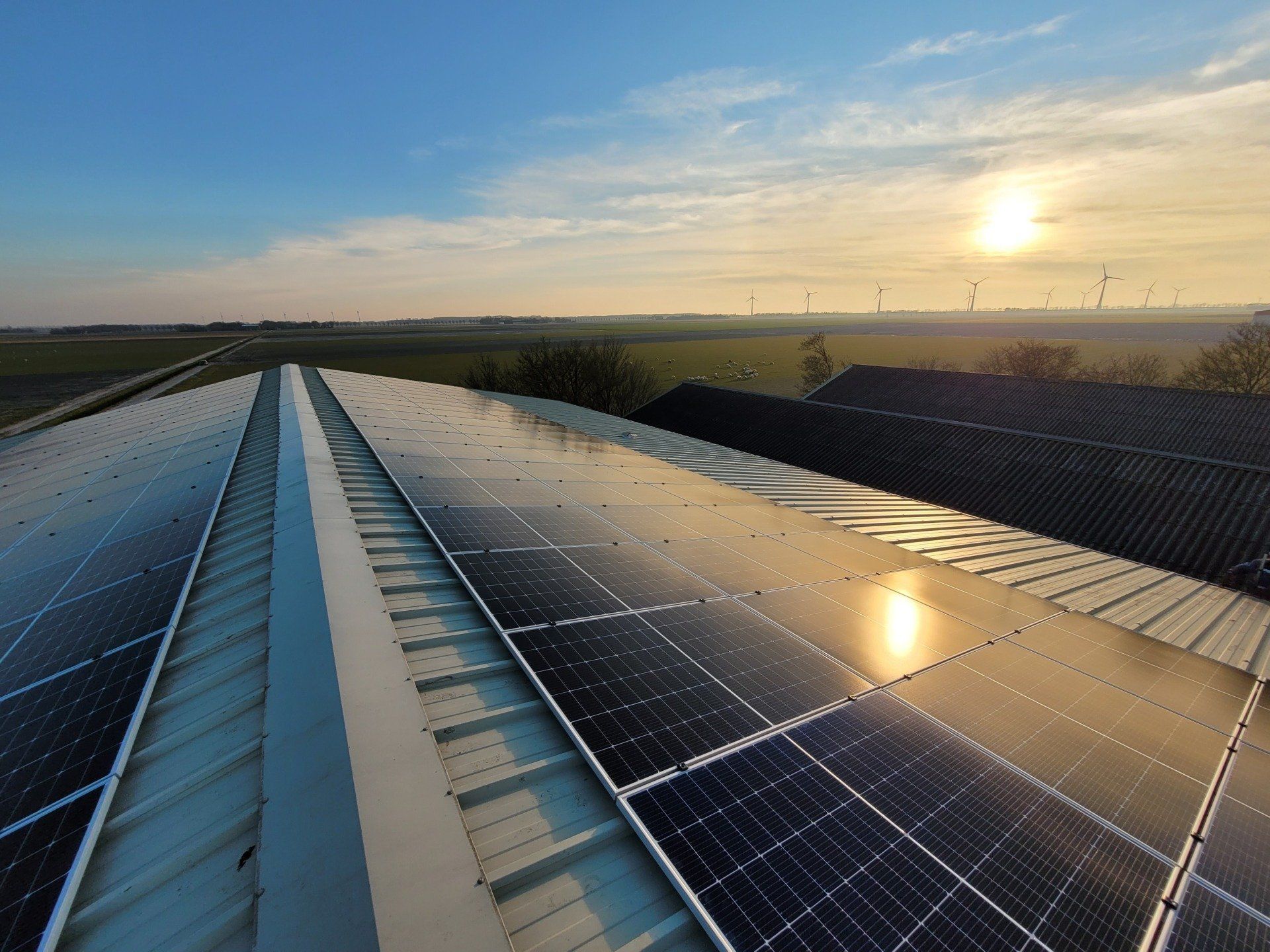 Een rij zonnepanelen op een dak bij een boer