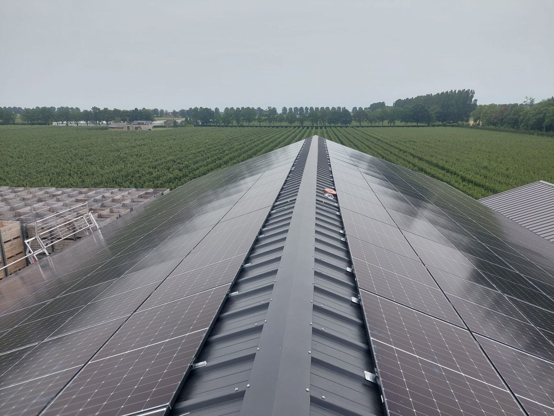 Een rij zonnepanelen op een dak bij een boer