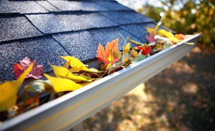 Gutter cleaning specialists
