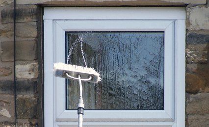 Window cleaning professionals