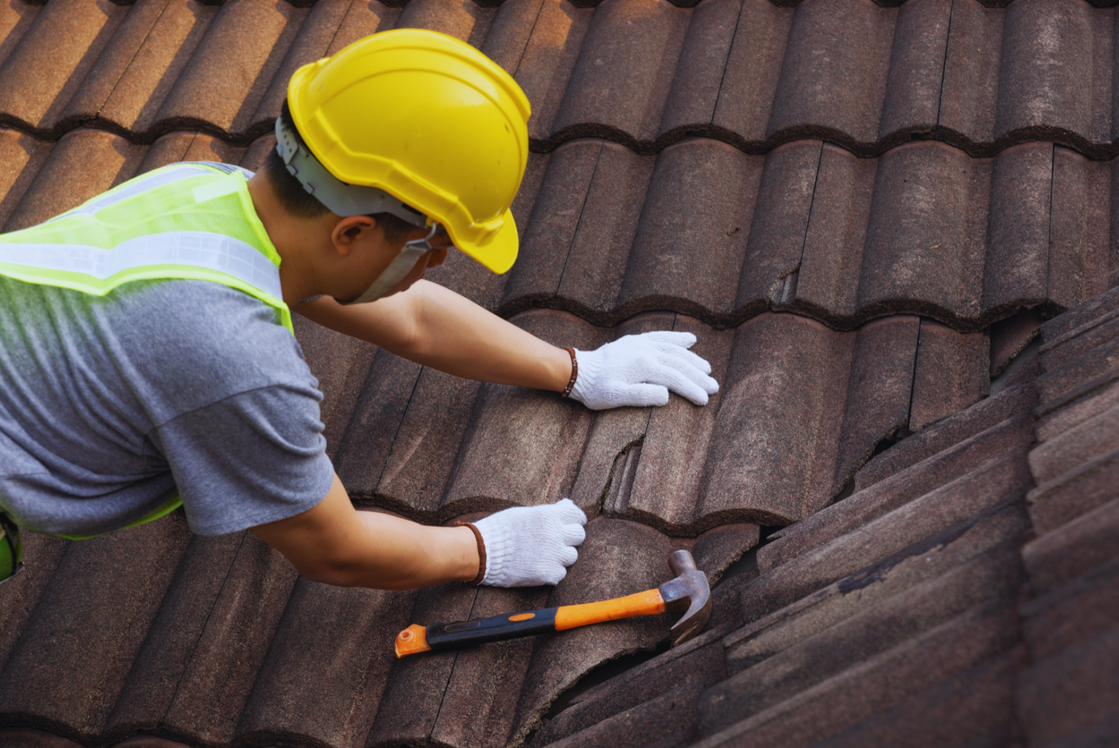 Roof Repair
